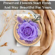 Ramos de flores preservadas para siempre rosas de larga duracion flores para entregar flores para siempre con luces LED bateria incluida regalo de cumpleaños dia de la madre Navidad - Violeta Rose Led - Ver 2