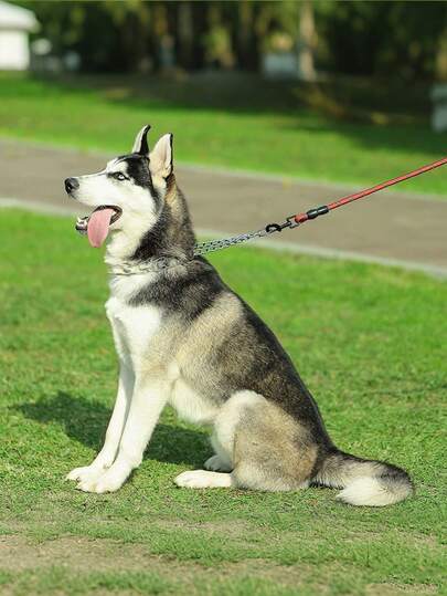 Husdjurstillbehör Gummistips Justerbara Avtagbara Pricka Choke Halsband Stor Hundträning Stimulerande Hundträningskedja Effektiv Avtagbar Nyp Halsband Gummi Med Husdjur Hund Justerbart Halsband Stål Träningschoke Rostfria Pricka Komforttips Hund Pricka Träningshalsband Med Gummistips Pitbull Schäfer Metall Nyp Halsband Husdjurstillbehör