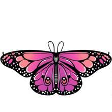 这款蝴蝶披肩色彩鲜艳，佩戴时宛如翩翩起舞的蝴蝶翅膀。适合女士和儿童，是全年各种节日场合的完美之选。采用涤纶面料，易于清洗，可手洗或机洗，品质优良，性价比高！ - 彩色 - 查看 6