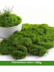 Realistische künstliche Moos für DIY Basteleien und Heimdekoration - lebensechte grüne Pflanze Gras, lebensechtes Fake Gras, ewiggrüne Pflanzendekoration, nicht verblassende Fake Blumen Kunstdekoration, Fake grünes Moos für Topfpflanzen im Innenbereich, künstliches Moos für Basteleien, Fake Moos Dekoration für DIY Dekoratives, perfekt für Miniatur-Landschaften und Hochzeitsdekoration - Verschiedenfarbig - Übersicht 3