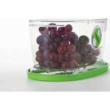 Progressive Recipiente para fruta fresca vegetales bayas y lechuga Guarda frutas y vegetales Verde 1.9 Quart 1 - Verde - Ver 4