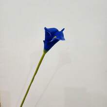 5支/10支仿真马蹄莲花束，逼真假花，适用于派对、花园、客厅、卧室、餐桌、办公室装饰，适合春夏、万圣节、感恩节、秋季、情人节、生日、毕业礼物（黄橙色）