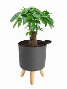 1 pieza Maceta redonda clásica autorriego con soporte, adecuada para todas las plantas y flores de interior, mantiene la humedad durante 15-20 días, la mejor opción para el cuidado de plantas durante viajes cortos. Maceta vertical moderna con agujero de drenaje, adecuada para plantación y decoración en interiores y exteriores, maceta con soporte de madera, maceta para bonsái (3 tamaños), adecuada para la temporada de vuelta al colegio y Navidad - Gris - Ver 16