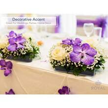 Royal Imports Flower Vase Acrylic Rectangle- Decorative Centerpiece, Succulent Planter Pot For Home Or Wedding - Non Breakable Plastic, 4\ X12 Low Square - Clear - Thông thoáng - Xem 7