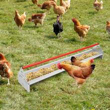 Bird Feeders & Animal Husbandry