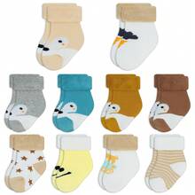 Baby Boys Socks Thick Terry Socks, 10 Pairs (0-3years Old) For Newborn Boys Girls,Cute Warm Ankle Crew Socks Set - #2熊+狐狸(10只裝) - 查看 11