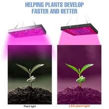 50W LED Plant Grow Light AC100-277V Full Spectrum Professional Green Plants Fill Lamp 220V Red Blue Quantum Board 30W Greenhouse Tent Vegetable Succulent Flower Sapling Growth Box Hydroponic Seedlings Lights 110V Indoor Potting Bonsai Cactus Moss Fruit Sapling Sunlight Lighting UV IR Cultivation Lamps With Hook EU Plug 81/169leds - EU C Type Plug(220-240V) - View 10