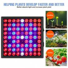 50W LED Plant Grow Light AC100-277V Full Spectrum Professional Green Plants Fill Lamp 220V Red Blue Quantum Board 30W Greenhouse Tent Vegetable Succulent Flower Sapling Growth Box Hydroponic Seedlings Lights 110V Indoor Potting Bonsai Cactus Moss Fruit Sapling Sunlight Lighting UV IR Cultivation Lamps With Hook EU Plug 81/169leds - EU C Type Plug(220-240V) - View 8