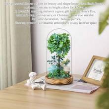 Dranmoner Serie de flores preservadas amarillo - Verde, Azul y Blanco - Ver 7