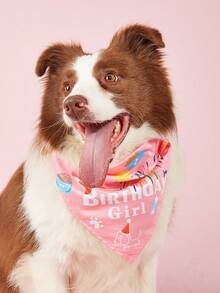 Dog Birthday Bandana Girl Pink Boy Blue Party Cosplay Supplies, Durable Triangle Scarf Bibs Handkerchief For Puppy Pet - Multicolor - View 10