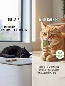 猫咪洁齿棒，天然鱼骨形状磨牙玩具，含猫薄荷，猫咪牙齿护理工具 - 彩色 - 查看 6