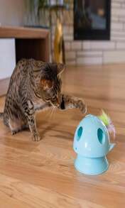 Juguete para gatos Catstages 2 en 1 con resorte - Pista interactiva con bola saltarina con plumas y cascabeles, color azul - ColorB - Ver 7