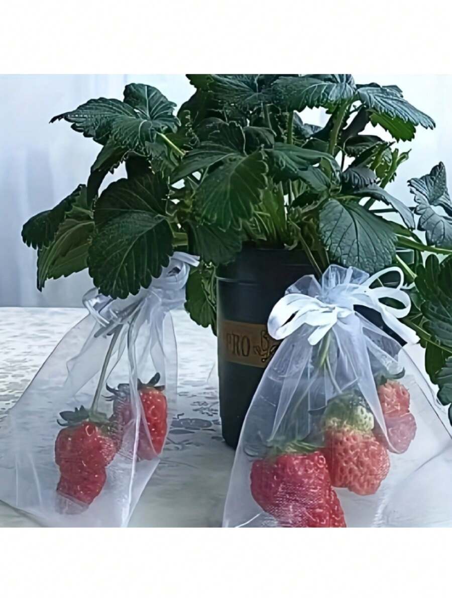 50个装优质网状水果保护袋，带抽绳 - 可重复使用透气欧根纱网，适用于花园、果园（葡萄/草莓/柠檬）、鸟类和昆虫防治、礼品包装（婚礼/圣诞节） - 彩色 - 查看 1