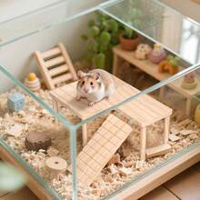 2 livelli in legno Piattaforma per criceti con scale e nascondiglio, adatta per gabbie di piccoli animali domestici, giocattolo interattivo - Multicolore - Visualizzare 7