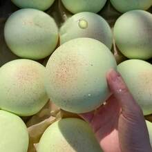 正品 Hachimi 草莓麻糬慢回弹玩具，超柔软，回弹缓慢 - 彩色 - 查看 13