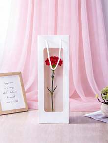 Bộ 6 túi quà tặng rượu vang, túi tote rượu vang đỏ trong suốt có cửa sổ, túi quà tặng rượu vang có tay cầm, thích hợp cho Ngày Valentine, túi đựng hoa, túi đựng rượu vang đỏ, Ngày của Mẹ, Lễ Tạ ơn, túi tay cầm dài cho đám cưới, tiệc tùng, màu nâu/trắng. - Nhiều màu - Xem 7