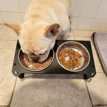 Iron Elevated Cat Bowls,15°Tilted Stand Anti Vomiting Raised Cat Dishes For Food And Water,2 Stainless Steel Bowls For Cats And Puppy - 1L - View 8