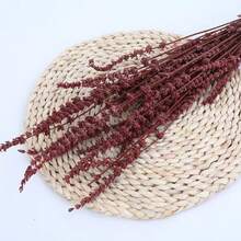 25/50/100/200+ Stems Dried Lavender Flower Bouquet, Fragrant Dried Lavender Bunches Suitable For Shower, Wedding, Home Vase Decor, Crafts, Aromatherapy And Scenting - Multicolor - View 16