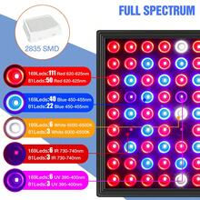 50W LED Plant Grow Light AC100-277V Full Spectrum Professional Green Plants Fill Lamp 220V Red Blue Quantum Board 30W Greenhouse Tent Vegetable Succulent Flower Sapling Growth Box Hydroponic Seedlings Lights 110V Indoor Potting Bonsai Cactus Moss Fruit Sapling Sunlight Lighting UV IR Cultivation Lamps With Hook EU Plug 81/169leds - EU C Type Plug(220-240V) - View 3