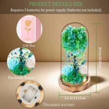 Dranmoner Serie de flores preservadas amarillo - Verde, Azul y Blanco - Ver 2