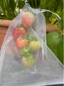 50个装优质网状水果保护袋，带抽绳 - 可重复使用透气欧根纱网，适用于花园、果园（葡萄/草莓/柠檬）、鸟类和昆虫防治、礼品包装（婚礼/圣诞节） - 彩色 - 查看 7