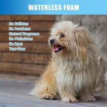 Pet Foaming Dry Wash Shampoo, Suitable For Cats And Dogs, Universal Cat And Dog Foaming Dry Wash Mousse Spray, Waterless Shampoo