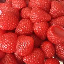 Strawberry Squeeze Stress Relief Toy - Multicolor - View 2