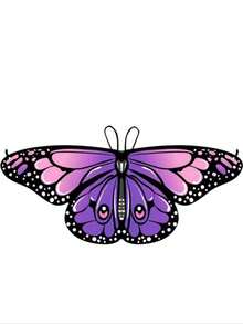 这款蝴蝶披肩色彩鲜艳，佩戴时宛如翩翩起舞的蝴蝶翅膀。适合女士和儿童，是全年各种节日场合的完美之选。采用涤纶面料，易于清洗，可手洗或机洗，品质优良，性价比高！ - 彩色 - 查看 9