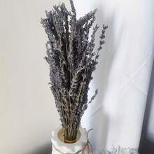25/50/100/200+ Stems Dried Lavender Flower Bouquet, Fragrant Dried Lavender Bunches Suitable For Shower, Wedding, Home Vase Decor, Crafts, Aromatherapy And Scenting - Multicolor - View 17