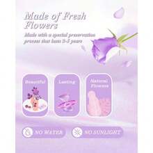 HVY - Ramo de flores preservadas color morado - como en la foto - Ver 3