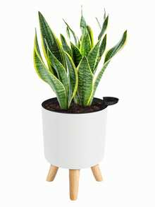 1 pieza Maceta redonda clásica autorriego con soporte, adecuada para todas las plantas y flores de interior, mantiene la humedad durante 15-20 días, la mejor opción para el cuidado de plantas durante viajes cortos. Maceta vertical moderna con agujero de drenaje, adecuada para plantación y decoración en interiores y exteriores, maceta con soporte de madera, maceta para bonsái (3 tamaños), adecuada para la temporada de vuelta al colegio y Navidad - Gris - Ver 14