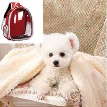 One Cat Backpack With A Transparent Window, Breathable, Multi-Functional, Side-Opening Pet Bag, Pet Travel Bag. A Pet Bag Specifically Designed For Cats. Small To Medium-Sized Transparent, Breathable, And Heat-Resistant Pet Bag For Cats And Puppies. Travel Transparent Cat Backpack, Available In Multiple Colors - Breathable Nylon, Zippered Capsule Design, Suitable For Small Pets, Perfect For Travel And Outdoor Use, Transparent Pet Travel Backpack, Portable Pet Restraint, Christmas Gift. - Multi-colored Pet Carrier + 80*100CM Blanket (random Color) - View 9