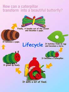 可爱毛毡儿童套装！生命周期教学工具，故事道具 - 手工教育用品 - 彩色 - 查看 4