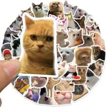 50pcs Cat Expression Decal Stickers, PVC Decorative Stickers Suitable For Phone Cases, Guitars, Helmets, Skateboards, Laptops, Water Bottles, Waterproof And Adhesive, Cute Cat Water Bottle Stickers, Aesthetic Waterproof Graffiti Laptop Stickers - Multicolor - View 3