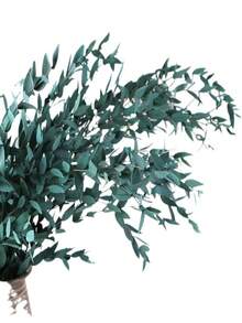 1 Bunch Natural Preserved Eucalyptus Millet Leaf Decor - Elegant Wedding Enhancer & Timeless Home Accent - Dry Flower Arrangement For Photography Props - Naturally Aromatic, Long-Lasting Beauty - Multicolor - View 15