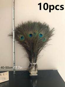 10根带眼睛的人造孔雀羽毛，适用于家居装饰、婚礼扇子、婚礼背景、装饰相框、蜡烛、闺蜜礼物、女士礼物、冬季礼物、家居装饰、婚礼装饰、工艺品 - 孔雀 - 查看 9