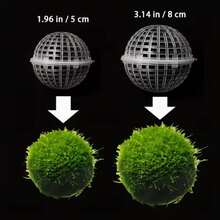 8个装水族箱苔藓球支架 - 漂浮苔藓种植球，（5厘米/1.96英寸）（8厘米/3.14英寸）鱼缸水生植物生长球，水族箱植物装饰，鱼虾养殖水族箱配件 - 造景工具 - 查看 5