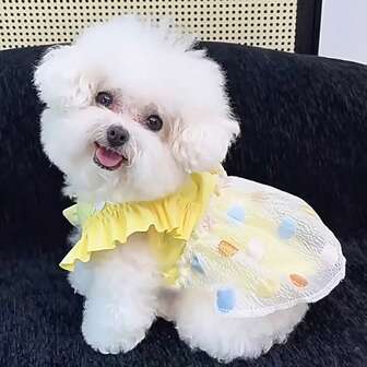 Moderiktiga husdjurskläder, husdjurskläder, husdjurstillbehör, kattkläder, hundkläder. Lämplig för katter och hundar under höst-/vintersäsongen, hundtillbehör, säsongsbetonade husdjurskläder, klassiska husdjurskläder, husdjurskläder, högkvalitativa husdjurskläder, mjuka husdjurstyger, djurdräkter, husdjursklänningar, husdjursägare, semesterköpare