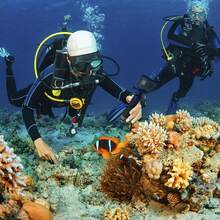 适用于运动相机的防水漂浮手柄，兼容 GoPro Hero 13/12/11/10/9、Yi SJ4000 和 Osmo，专为户外运动和水上活动设计。可用作支架、水下漂浮支架或游泳自拍杆——必须安装在相机外壳上。适用于冬季假期、旅行、户外活动、直播、稳定录制、度假旅行、户外活动直播、稳定录制、Vlog 设备，支持 360° 旋转。 - 均碼 - 查看 7