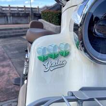 AD 郁金香半透明装饰贴纸，适用于电动汽车、摩托车、汽车，3D立体花卉贴纸，少女风花卉装饰贴纸