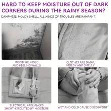 Túi hút ẩm canxi clorua hiệu suất cao không dùng điện, hút ẩm và khử mùi, thích hợp cho tủ quần áo, tầng hầm và khu vực lưu trữ, kiểu dáng ngẫu nhiên, lựa chọn mùa xuân hè, quà tặng cho phù dâu, trang trí phòng ngủ, bãi biển, du lịch, dành cho nam, dành cho nữ, kỳ nghỉ, Ngày Quốc tế Phụ nữ, đồ dùng cần thiết khi đi du lịch, quà cưới, Y2K, phòng ngủ, phụ kiện xe hơi dành cho nữ, đồ trang trí nhà bếp dễ thương, quà tặng Ngày của Mẹ, trang trí phòng ngủ, sân vườn, trang trí nhà bếp, mùa hè, bãi biển, đồ dùng cần thiết khi đi du lịch, trang trí phòng, đồ chơi mềm, lễ tốt nghiệp - trắng - Xem 10