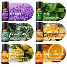 香薰精油套装，新鲜水果和植物香氛精油，适用于香薰机、加湿器、DIY香水、肥皂和蜡烛制作，包含薰衣草、玫瑰、迷迭香、佛手柑、柠檬草、薄荷精油 - 黑色 - 查看 2