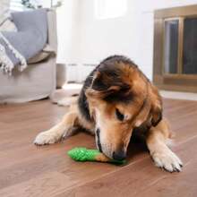 Outward Hound By Planet Dog Foodies Carrot Treat-Dispensing Dog Chew Toy, Orange - ColorA - 查看 5