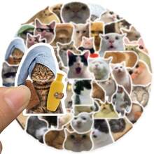50pcs Cat Expression Decal Stickers, PVC Decorative Stickers Suitable For Phone Cases, Guitars, Helmets, Skateboards, Laptops, Water Bottles, Waterproof And Adhesive, Cute Cat Water Bottle Stickers, Aesthetic Waterproof Graffiti Laptop Stickers - Multicolor - View 7