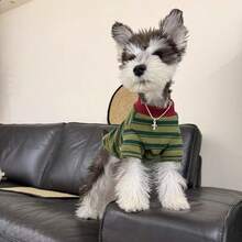 1pc Thin Striped Round Neck T-Shirt Basic Dog Clothes For Small/Medium Dogs, Suitable For Spring/Autumn, Anti-Shedding For Poodle, Maltese - Green - View 6