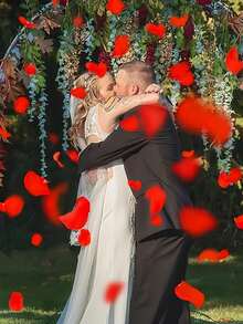 1000/2000pcs Artificial Red Rose Petals, Suitable For Valentine's Day, Wedding, Date Gift Decor, Celebration Decor, Home Decor And Autumn Decor