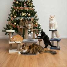 四种颜色可选便携式猫抓柱，带剑麻抓柱的猫树，室内猫抓柱互动玩具，带悬挂球，坚固的猫抓底座，易于安装，适合中小型猫咪玩耍和休息。 - 彩色 - 查看 1