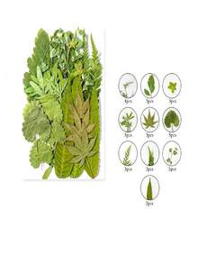 1 Bag Of Dried Green Plant Flowers, Suitable For Plant Specimens, Crafts, Collages, Photo Frames, Epoxy Resin, Phone Cases, Floral Materials, Christmas, Valentine's Day, Weddings, Home Decor, And Gifts