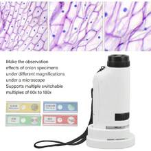 Microscopes - View 2