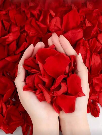 1000/2000pcs Artificial Red Rose Petals, Suitable For Valentine's Day, Wedding, Date Gift Decor, Celebration Decor, Home Decor And Autumn Decor